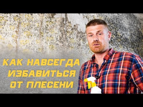 Видео: Как избавится от Плесени, Грибка и Мха НАВСЕГДА