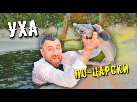 Видео: УХА ПО-ЦАРСКИ ☆ Наивкуснейший рецепт УХИ ИЗ ОСЕТРА
