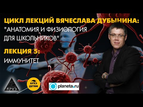 Видео: Вячеслав Дубынин: "Иммунитет" (Лекция 5)