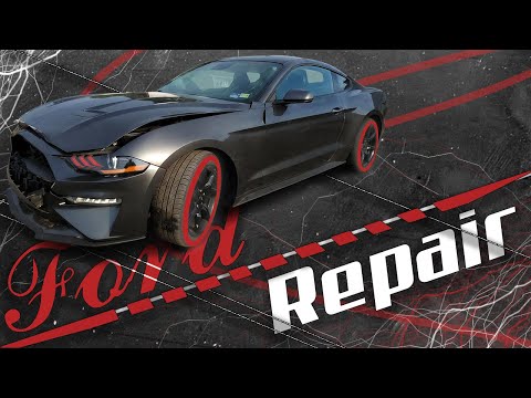 Видео: It seemed easy, but Mustang showed its character! 🐎 Казалось легко, но Mustang показал характер!