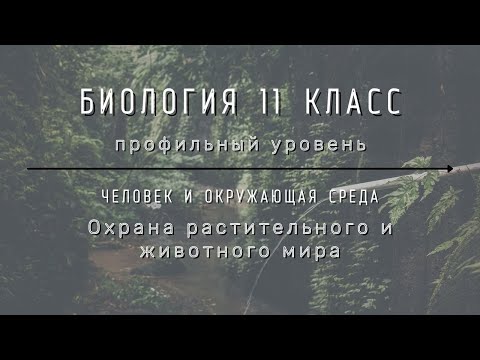 Видео: Биология 11 кл Теремов §72 Охрана растительного и животного мира