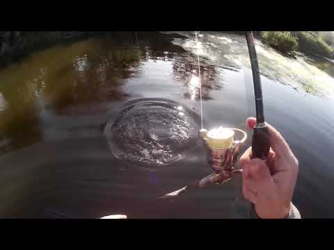 Видео: Река Ингулец Рыбалка в черте города