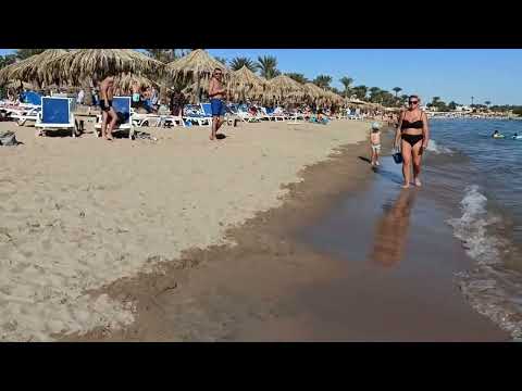 Видео: Бухта Наама бей. Египет