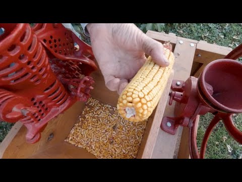 Видео: Молотим кукурузу, как в 1899 году