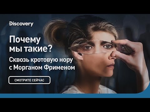 Видео: Почему мы такие, какие есть? | Сквозь кротовую нору с Морганом Фрименом | Discovery