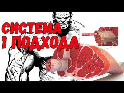 Видео: Система одного подхода для набора массы