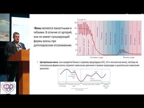 Видео: Лахин Роман. Оценка органного кровотока у пациентов в критическом состоянии (новое в 2022-2023 гг)