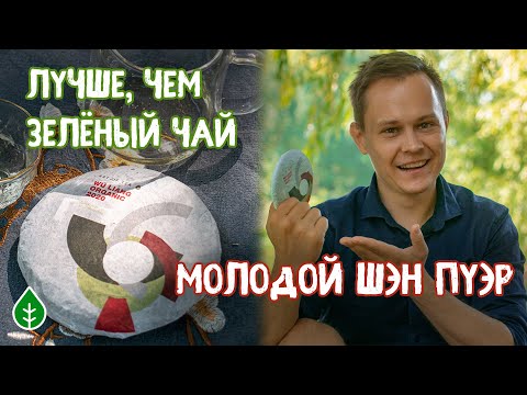 Видео: Пуэр вместо зелёного чая!?  Шэн пуэр "Уляншань Органик" | Art of Tea, китайский чай