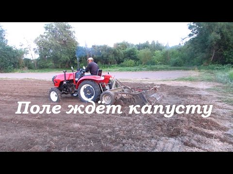 Видео: Целинное поле под капусту готово!