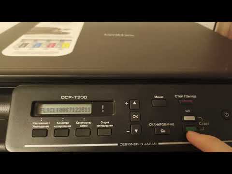 Видео: Принтер МФУ Brother DCP-T300. Печатает другой краской. Не печатает. Сброс абсорбера (памперса).
