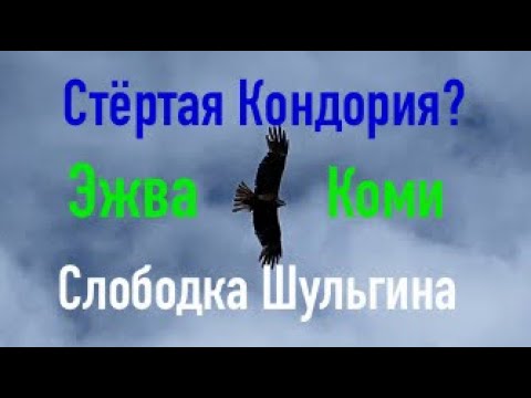 Видео: Стёртая Кондория? Останки Слободки Шульгина #коми #фантазии #карты #история #эжва #кондория