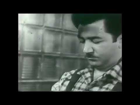 Видео: Тяговый электродвигатель электровоза постоянного тока