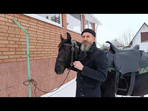 Видео: Кавалерия. Седлаем жеребчика .