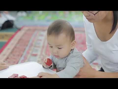 Видео: “Бага насны хүүхдийн хөгжил” видео хичээл