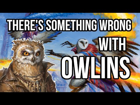 Видео: В основном Совы