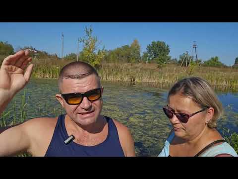 Видео: Причины Аллергий у собак и методы решения