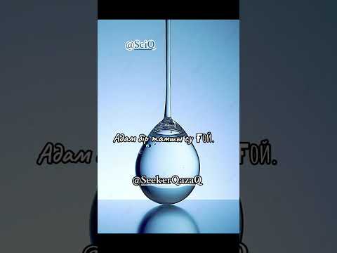 Видео: Бір тамшы сумен ұрықтың айырмасы.