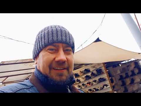 Видео: 🦅В здоровом теле здоровый ли дух!?🚭#ОРЛЫ или ВОРОНЫ#🚑🚴‍♀️ ☢️