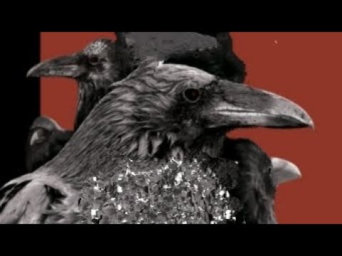 Видео: Миром за мир - Музыка Виктора Хоборова, слова Дианы Дмитриевой-Педанэ