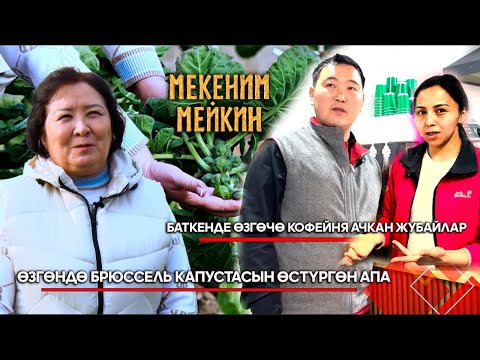 Видео: Жашоо образын өзгөртүү менен өзгөчө кофекана ачкан жубайлар // МЕКЕНИМ МЕЙКИН берүүсү