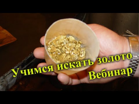 Видео: Вебинар. Где и как искать золото. Учимся  искать и добывать золото.