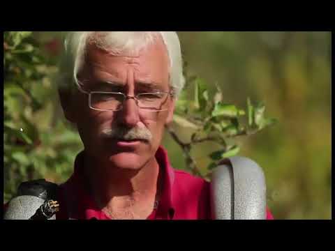 Видео: Пермакультурный сад Собковиака 09