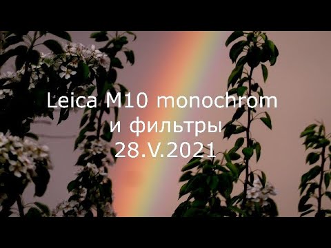 Видео: С.В. Савельев - Leica M10 monochrom и фильтры