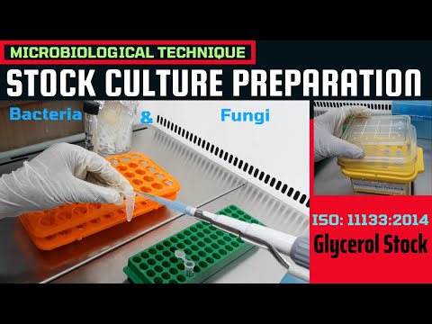Видео: Приготовление исходной культуры (глицериновой) для бактерий – полная процедура (ISO 11133:2014)