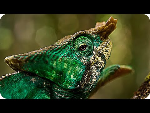 Видео: ▽ Невероятная природа планеты Земля
