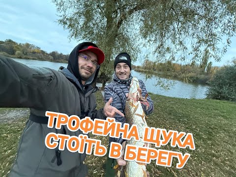 Видео: ТРОФЕЙНАЯ ЩУКА на силикон! Случайная встреча принесла хороший результат. Спиннинг с берега. Осень...
