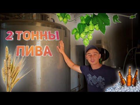 Видео: варим две тонны пива. контрактная варка