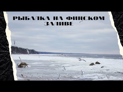 Видео: Рыбалка на финском заливе/20 минут пешком от дома