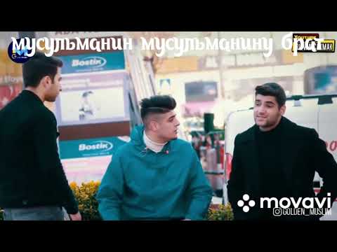 Видео: я голодный социальный эксперимент   помогут?