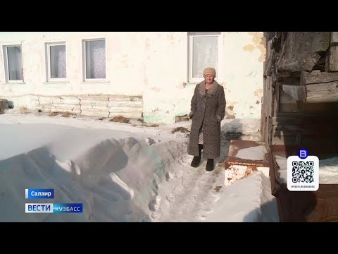 Видео: Пилорама раздора: в Салаире соседи не могут поделить землю