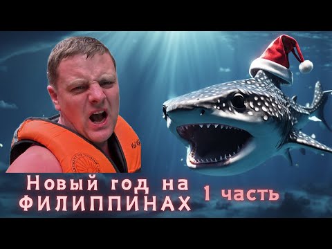 Видео: Новый год на Филиппинах. Моалбоал, Ослоб, Танаван. Плаванье с акулами и сардинами.