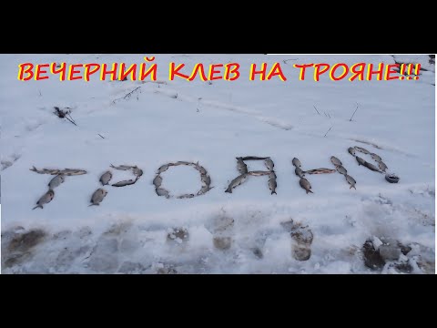 Видео: Вечерний клев на Трояне!!!