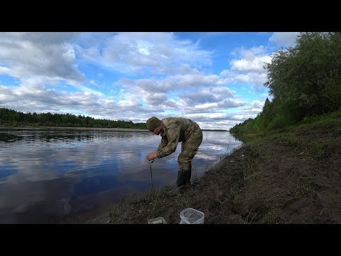 Видео: РЫБАЛКА НА ДОНКИ. ГОТОВЛЮ СУП ИЗ КРАПИВЫ. РЕКА ВЫЧЕГДА.