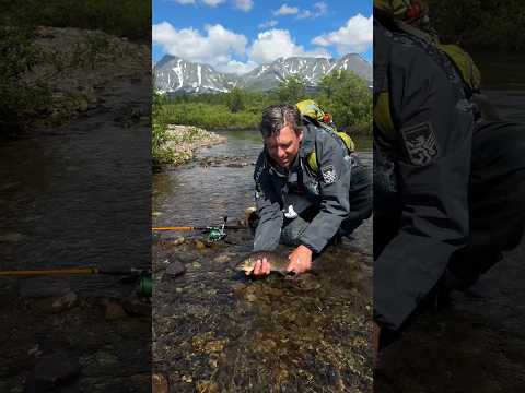 Видео: с днём рыбака! #байкал #природа #рыбалканаозере #рыбалка #горнаярыбалка