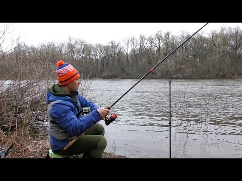 Видео: Клювали Навіть Язі на Фідер. Супер Кльов на Десні