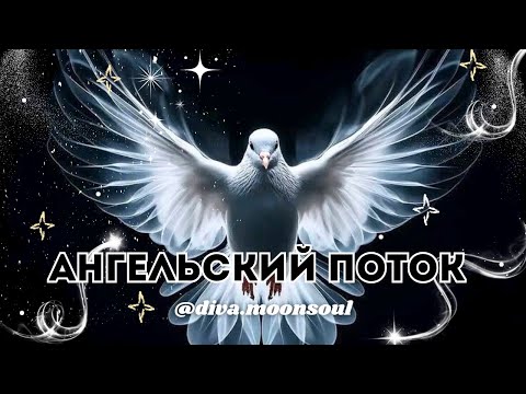 Видео: АНГЕЛЫ подают ЗНАК на пути 🪽Важное послание для Вас✨11.11