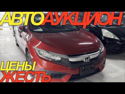 Видео: ЯПОНЦАМ ЭТОТ ХЛАМ БОЛЬШЕ НЕ НУЖЕН // HONDA STEPWGN VEZEL FREED SPIKE ODESSEY WR-X TOYOTA RAV4