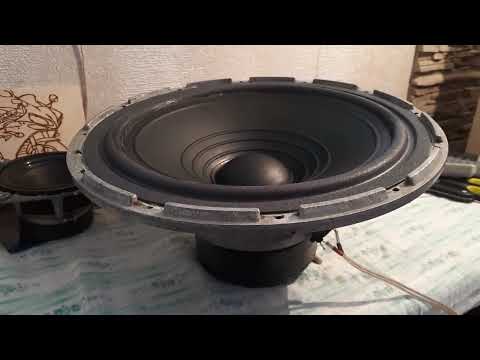 Видео: Динамик 100ГДН-3 готов к установке.