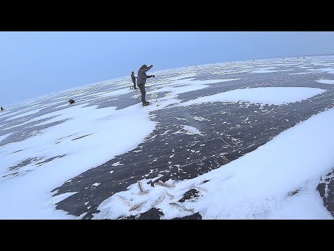 Видео: ПЕРВЫЙ ЛЁД НА МОРЕ! Опустил блесну на ГЛУБИНУ и НАЧАЛОСЬ! Зимняя рыбалка 2023 - 2024!