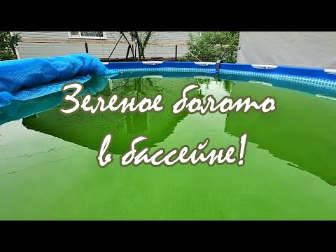 Видео: В бассейне зеленое болото/ что делать/ как очистить воду