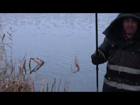 Видео: Осенняя ловля окуня на кивок и безмотылку