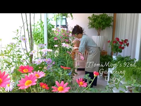 Видео: Сегодня самый красивый день/Сад на веранде в середине мая.