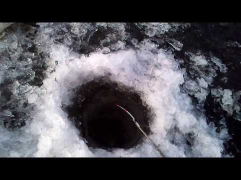 Видео: эхолот JJ-Connect 220 Duo Ice Edition Mark II