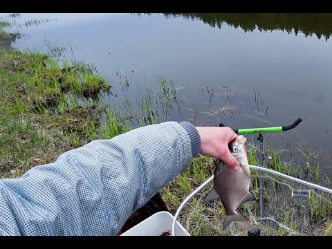 Видео: Рыбалка на Вилейке весной. НС-1. 2020