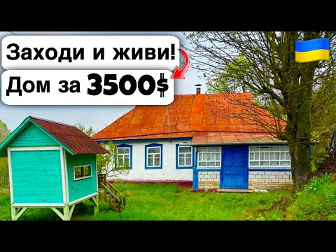 Видео: 🇺🇦 Заходи и живи! Дом в селе за 3500$ Продажа недвижимости за копейки! Всё есть Уютное тихое село!