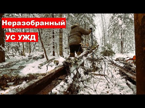 Видео: Зимний металокоп. Нашли неразобранную УЖД.